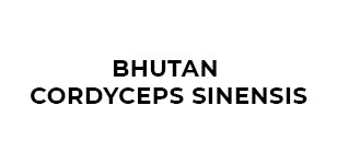 Bhutan Cordyceps Sinensis