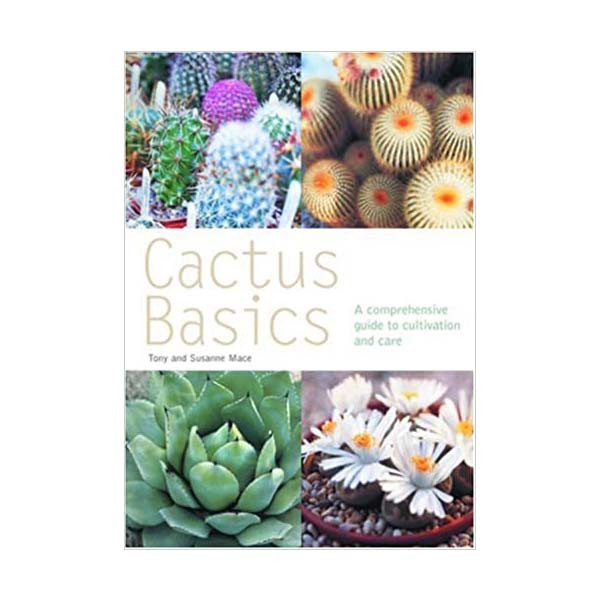 Cactus Basics