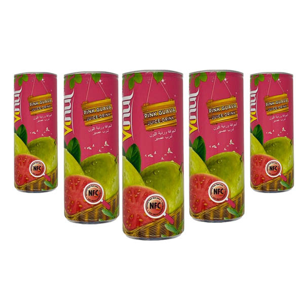 Zalabt Vinut Pink Guava Juice Drink 250ml X 24 Case 8258