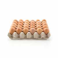 1-tray-egg11-521fd.jpg