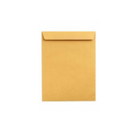 brown-envelope-a3-size-16-inch-x-12-inch.jpg