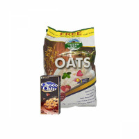 oats-with-choco-chjips.jpg